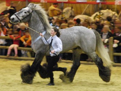 <p>Par <a href="https://commons.wikimedia.org/w/index.php?curid=18548555" class="spip_out" rel="external">Eponimm</a> — Travail personnel, CC BY-SA 3.0,</p>