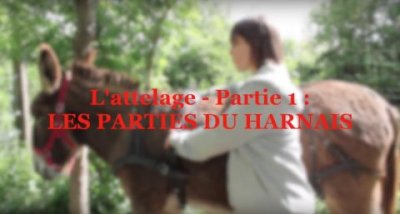 Impossible de lire la video