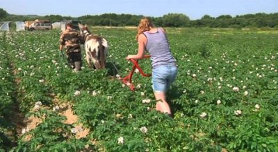 Impossible de lire la video