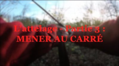 Impossible de lire la video