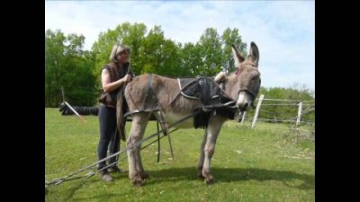 Impossible de lire la video