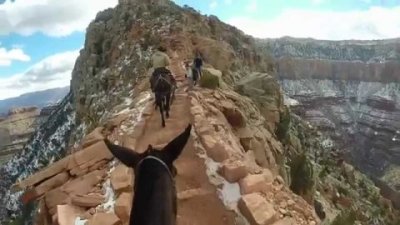 Impossible de lire la video