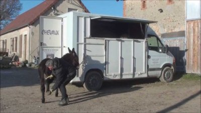 Impossible de lire la video