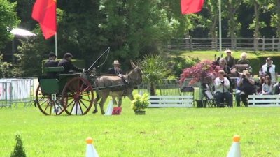 Impossible de lire la video