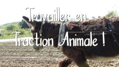 Impossible de lire la video