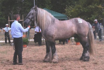 <p>Par<a href="https://commons.wikimedia.org/w/index.php?curid=7962752" class="spip_out" rel="external">Poitou</a> â€” Travail personnel, CC BY 3.0,</p>