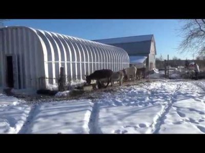 Impossible de lire la video