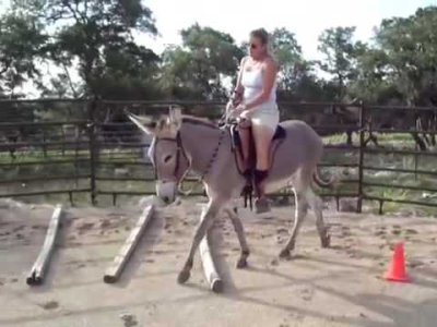 Impossible de lire la video