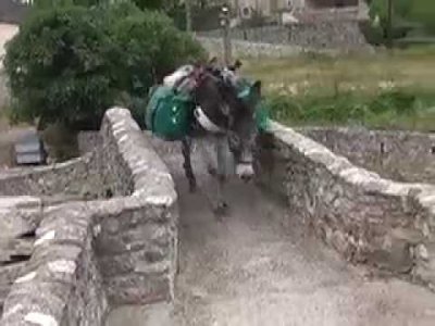 Impossible de lire la video