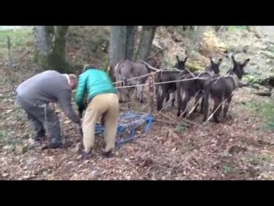 Impossible de lire la video