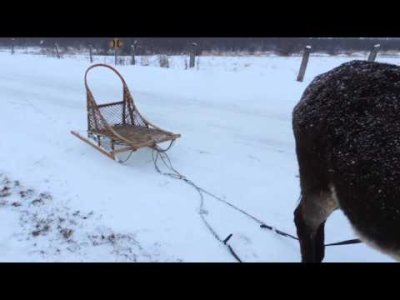 Impossible de lire la video