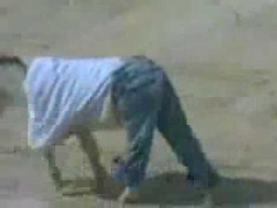 Impossible de lire la video