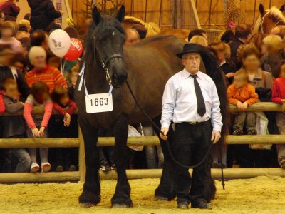 <p>Par <a href="https://commons.wikimedia.org/w/index.php?curid=18548488" class="spip_out" rel="external">Eponimm</a> â€” Travail personnel, CC BY-SA 3.0,</p>