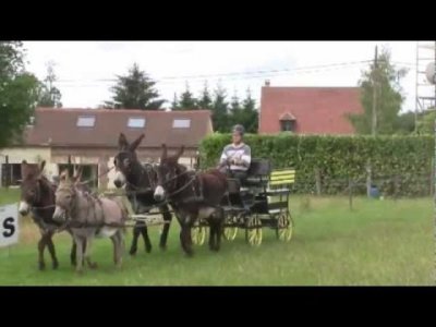 Impossible de lire la video