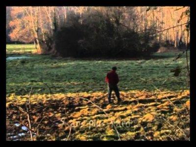 Impossible de lire la video