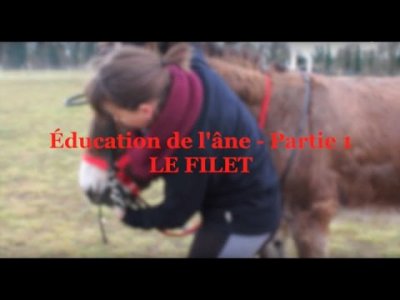 Impossible de lire la video