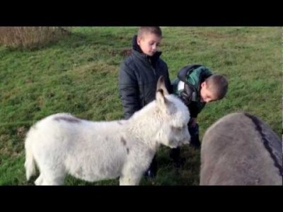 Impossible de lire la video