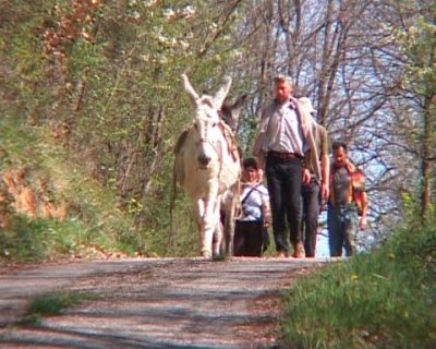 Impossible de lire la video