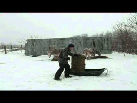 Impossible de lire la video